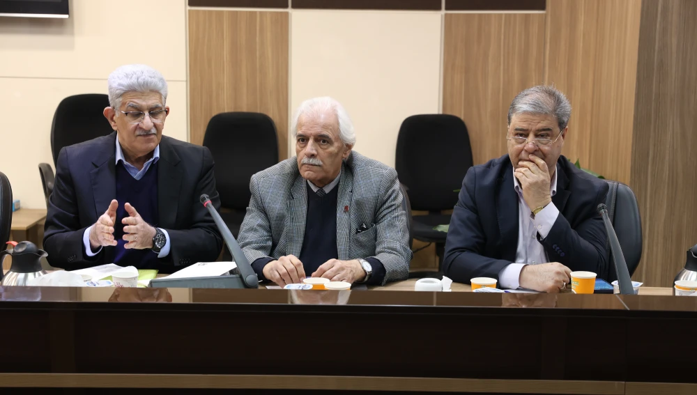 نشست کارگروه شورای گفت و گوی دولت و بخش خصوصی با حضور نمایندگان کمیته ایرانی ICC  با موضوع استفاده از بیمه سبز