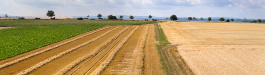 ICC and WFP partner to mobilize the private sector in support of zero hunger around the globe