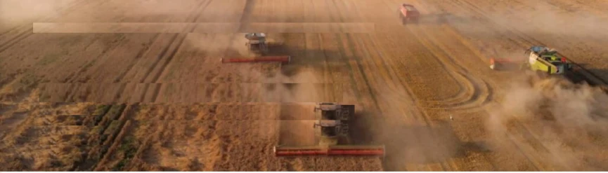 Addressing the global food security crisis