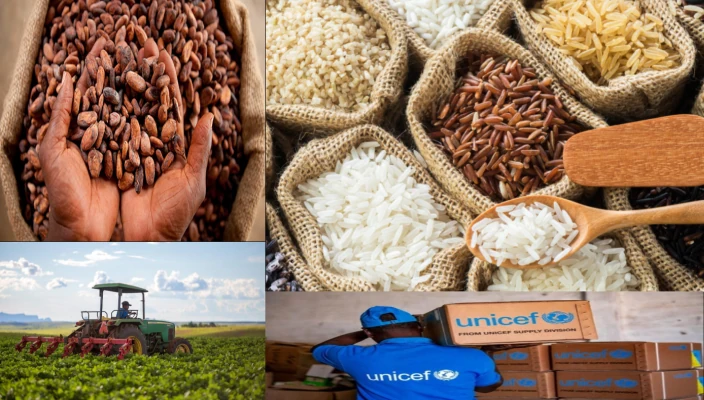 امضای سند همکاری میان اتحادیه جهانی تسهیل تجارت(GATF) با سازمان های  یونیسف(UNICEF) و فائو(FAO)