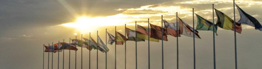 ICC welcomes G20 commitment on equitable distribution of Covid-19 vaccines; calls for emergency summit to deal with risks to real economy in early 2021